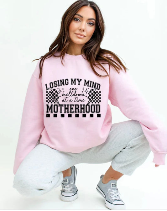 Losing My Mind one Meltdown at a Time